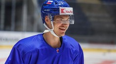 Arizona poslala Kelemena späť na farmu do Tucsonu