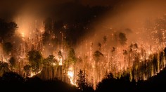 Hasičom sa podarilo zmenšiť plochu požiaru v Českom Švajčiarsku