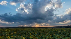 Po vlne horúčav nás čakajú prijateľnejšie teploty, ku koncu týždňa sa počasie pokazí