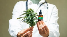 Štyri štáty zlegalizovali marihuanu, Oregon aj halucinogénne huby