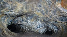 V Indii objavili pozostatky „najväčšieho hada, aký kedy žil“. Bol dlhší ako Tyrannosaurus Rex