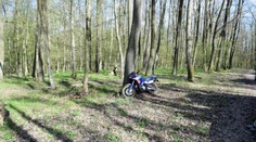 Za jazdu na motorke a autom v lese hrozí rok v base: V Malých Karpatoch chytili desať ľudí