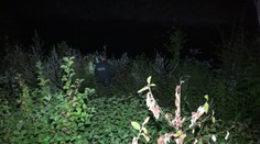 V Žiline zaútočil na ženu diviak, tá sa následne stratila