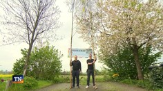 Z tradície si spravili výnosný biznis. Nemeckí bratia vyrábajú máje pre celú krajinu