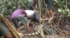 Obrovský pytón dal poriadne zabrať šiestim rybárom. Jednému sa omotal okolo členka