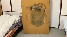 Plesnivé postele aj kúpelne. Nedôstojné podmienky na internátoch môžu ohroziť zdravie, varuje lekár