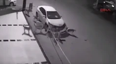 Svorka psov chcela dolapiť mačku. Nepochopíte, ako rozobrali zaparkované auto