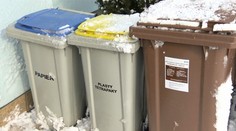 Zisťovali sme, čo všetko patrí a nepatrí do hnedého smetiaka