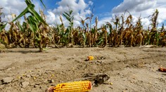 Juh Slovenska čaká nedostatok vody. Pozrite sa, ako je na tom váš okres (+ analýza)