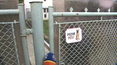 Nebezpečný pes hryzie susedov, rady si s ním nevie dať ani polícia