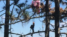 Hasičov v Trenčíne vyslali na pomoc parašutistovi. V skutočnosti to bola len hračka