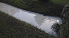 Nevídaný úkaz. Voda v potoku v košickej Šaci sa zafarbila dobiela