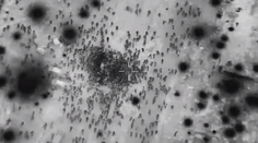 Izraelská armáda zmasakrovala vyše 100 civilistov, tvrdia Palestínčania. Zranili sa pri rabovaní, reaguje Izrael