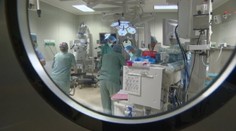 Vďaka tejto transplantácii môžu byť protézy čoskoro minulosťou