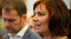 Bojovník proti mafii. Matovič bude mať na volebnej kandidátke pri mene takéto zamestnanie. Neuveríte, čo si dala Remišová