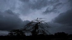 India: Silné monzúnové dažde si vyžiadali ďalšie obete i nezvestných