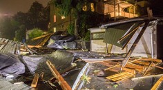 Fabienne v Nemecku zabíjala. O život prišla žena, na ktorú spadol strom