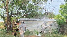 Muž zomrel pri kosení vlastného trávnika. Zabili ho agresívne včely