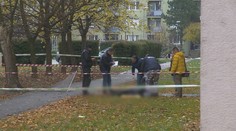 Do školy gymnazistu, ktorého v Šali zavraždil brat, prišli policajti v civile. Pátrajú po motíve besnenia