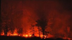 Prímerie na Ukrajine vydržalo len pár hodín: Streľba sa ozýva z Donecka aj Mariupola