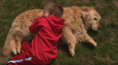 Jej pes dokázal vycítiť blížiaci sa záchvat. Petra pomohla rozbehnúť na Slovensku canisterapiu