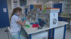 Vakcína na koronavírus je zatiaľ v nedohľadne. Pozrite sa, ako postupujú vedci