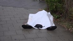 Medzi obeťami streľby v Mníchove by nemali byť Slováci