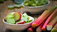 Máte radi rebarboru? Tieto recepty potom musíte vyskúšať