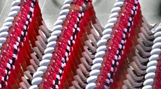 Pozor, pochodom vchod! Dokonalý marš tých najkrajších ženských rôt