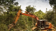 Brazília povolila ťažbu zlata v rozsiahlych oblastiach Amazónie