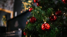 Kedy je ten správny čas odložiť vianočný stromček? Niektorí tak robia hneď po sviatkoch, iní až vo februári