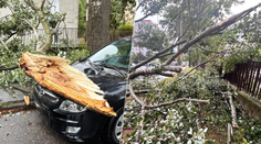 Vietor v Bratislavskom kraji láme stromy. Hasiči už zasahovali pri desiatkach prípadov