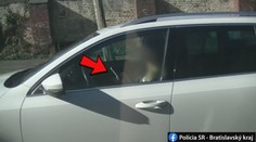 Telefonujete za volantom? Policajti majú jednoduchý, ale účinný spôsob, ako vás odhalia
