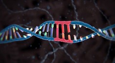 V Británii povolili vedcom "hrať sa na Boha". Chcú zmeniť DNA