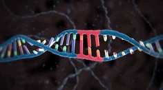 V Británii povolili vedcom "hrať sa na Boha". Chcú zmeniť DNA