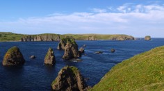 Japonský premiér chce Putinovi navrhnúť uzavretie mierovej dohody