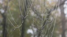 Na Slovensko sa vrátia letné teploty. Čaká nás krásne babie leto