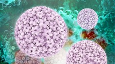 Strašiak zvaný HPV. Viete ako sa brániť?