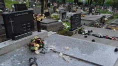 Skupina medveďov zdemolovala cintorín v Ružomberku