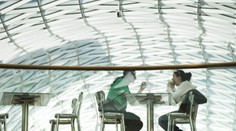 Čo u nás zdraželo: Vzdelanie, tabak a alkohol ako aj reštaurácie