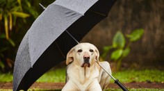 Slovensko zahalia mračná, čakajte prehánky a búrky