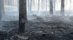 Vo vojenskom obvode na Záhorí objavili mŕtvolu neznámeho muža