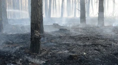 Vo vojenskom obvode na Záhorí objavili mŕtvolu neznámeho muža