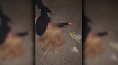 Šokujúce vyčíňanie tínedžerov pri Bratislave. Do maloletej liali alkohol, bili ju a nahrávali