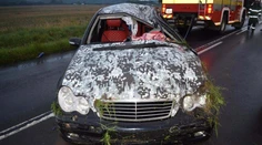 Nehoda pri Veľkom Krtíši si vyžiadala život mladej vodičky. Jej trojmesačné dieťa prežilo