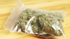 Kanadský Senát schválil legalizáciu marihuany