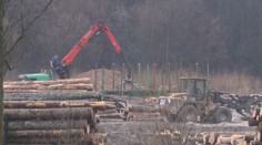 Na Horehroní chystajú obrovskú ťažbu dreva. Najviac zasiahne aj tamojšie turistické atrakcie