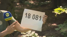 Núdzová linka pre strety s medveďom začne fungovať od pondelka. Vieme podrobnosti