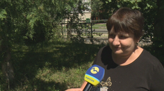 Od nešťastia ju delili sekundy. Ivana opísala, ako stretla medvedicu s mláďaťom na dedinskej ceste