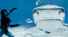 Žena si zatancovala so žralokmi zabijakmi. Video vyráža dych